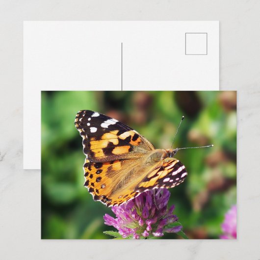 Briefkaart voor gebilderde vrouwerij (Voorkant / Achterkant)