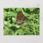 Briefkaart voor gebilderde vrouwerij (Voorkant)