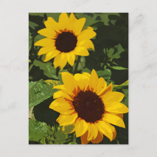 Briefkaart voor geel zonnebloemontwerp