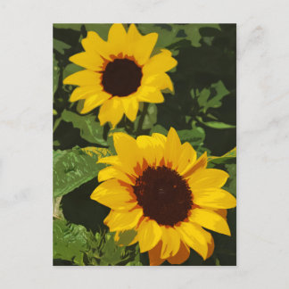 Briefkaart voor geel zonnebloemontwerp