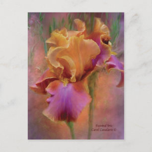 Briefkaart voor gekleurde Iris Art
