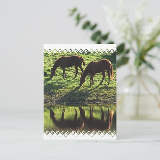 Briefkaart voor graaspaarden (Staand voorkant)