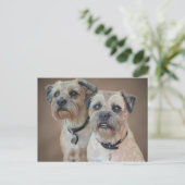 Briefkaart voor grensdrager (Staand voorkant)