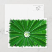 Briefkaart voor groene energie (Voorkant / Achterkant)