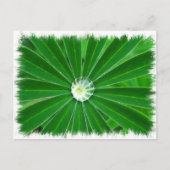 Briefkaart voor groene energie (Voorkant)