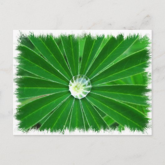 Briefkaart voor groene energie (Voorkant)