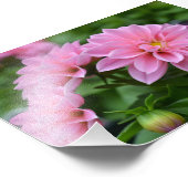 Briefkaart voor haar foto afdruk (Hoek)