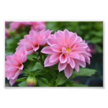 Briefkaart voor haar