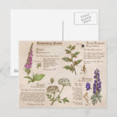 Briefkaart voor handleiding met Planten omdraaien (Voorkant / Achterkant)