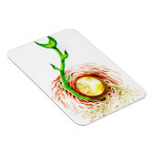 Briefkaart voor het afdrukken van het poster van h magneet (Rechterzijde)