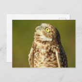 Briefkaart voor het branden van kippen (Voorkant / Achterkant)