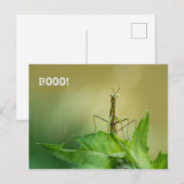 Briefkaart voor het brouwen (Voorkant / Achterkant)