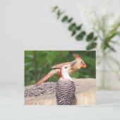 Briefkaart voor het delen van zaaizaad (Staand voorkant)