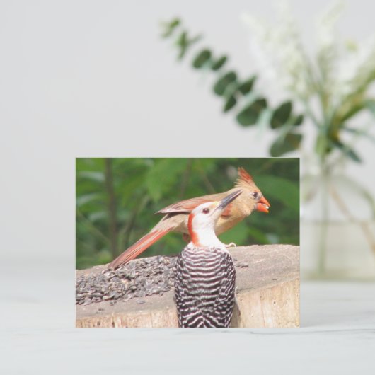 Briefkaart voor het delen van zaaizaad (Staand voorkant)