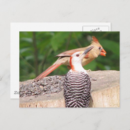 Briefkaart voor het delen van zaaizaad (Voorkant / Achterkant)