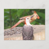 Briefkaart voor het delen van zaaizaad (Voorkant)