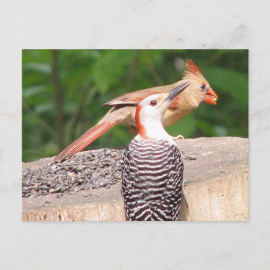 Briefkaart voor het delen van zaaizaad (Voorkant)