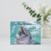 Briefkaart voor het glimlachen van dolfijnen (Staand voorkant)