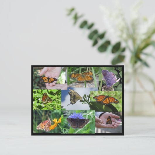 Briefkaart voor het inkollen van vlinders (Staand voorkant)