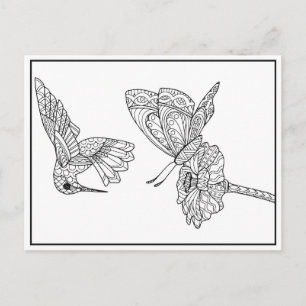 Briefkaart voor het kleuren van levende vogels en