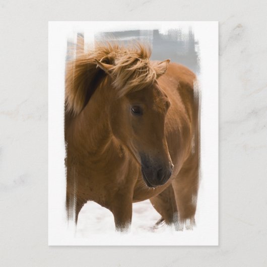 Briefkaart voor het ontwerpen van kastanjepaarden (Voorkant)