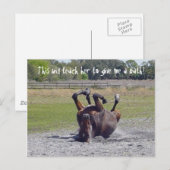 Briefkaart voor het rollen van paarden (Voorkant / Achterkant)