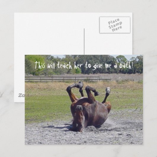 Briefkaart voor het rollen van paarden (Voorkant / Achterkant)