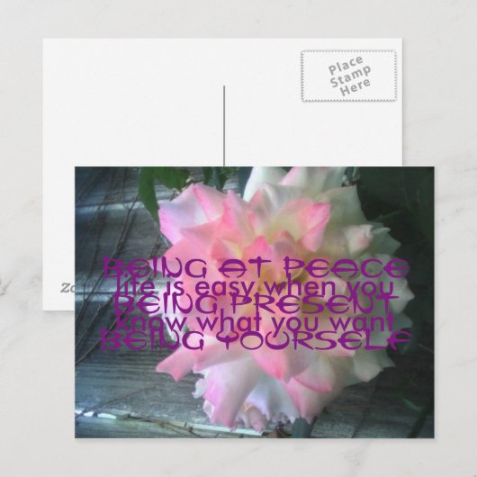 Briefkaart voor het Roos van de vrede (Voorkant / Achterkant)