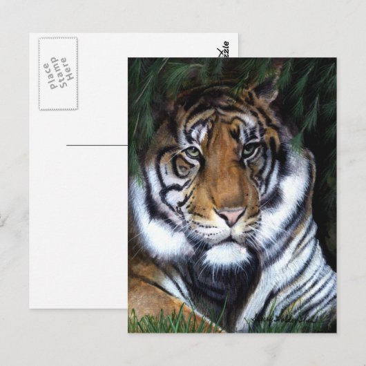 Briefkaart voor het schilderen van tijger (Voorkant / Achterkant)