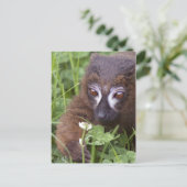 Briefkaart voor het schoppen (Staand voorkant)