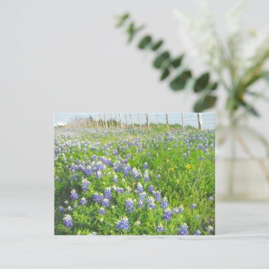 Briefkaart voor het strandvaren van blauwvintonijn (Staand voorkant)