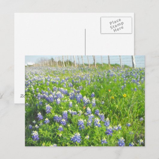 Briefkaart voor het strandvaren van blauwvintonijn (Voorkant / Achterkant)