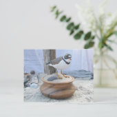 Briefkaart voor het uitlooppijp (Staand voorkant)