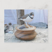 Briefkaart voor het uitlooppijp (Voorkant)