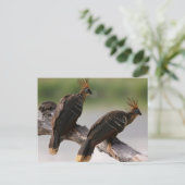 Briefkaart voor het verzamelen van reizen 10 (Staand voorkant)