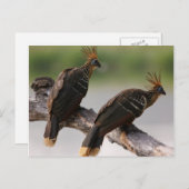 Briefkaart voor het verzamelen van reizen 10 (Voorkant / Achterkant)