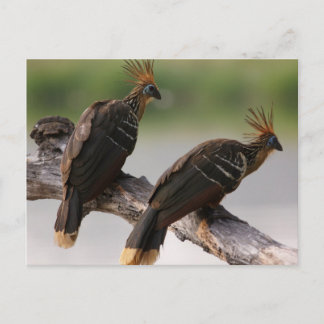 Briefkaart voor het verzamelen van reizen 10