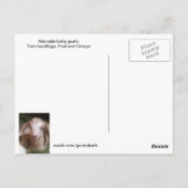 Briefkaart voor het zogende twinningbroekje (Achterkant)