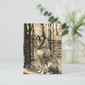 Briefkaart voor hondenliefhebbers met tekst en fot (Staand voorkant)