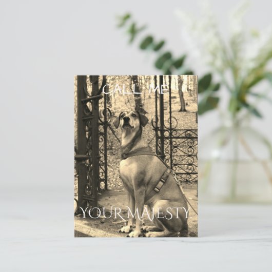 Briefkaart voor hondenliefhebbers met tekst en fot (Staand voorkant)