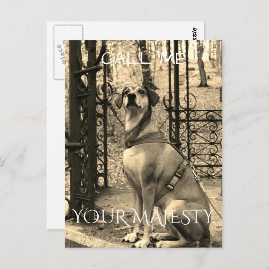 Briefkaart voor hondenliefhebbers met tekst en fot (Voorkant / Achterkant)