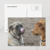 Briefkaart voor Humoureus Dog (Voorkant / Achterkant)