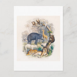 BRIEFKAART VOOR ILLUSTRATIE VAN HET KONINKRIJK