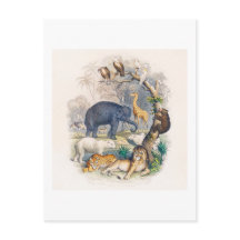  BRIEFKAART VOOR ILLUSTRATIE VAN HET KONINKRIJK