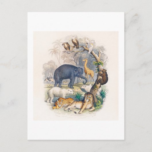  BRIEFKAART VOOR ILLUSTRATIE VAN HET KONINKRIJK (Voorkant)