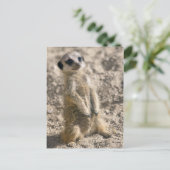 Briefkaart voor instaptraining (Staand voorkant)