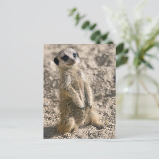 Briefkaart voor instaptraining (Staand voorkant)