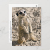 Briefkaart voor instaptraining (Voorkant / Achterkant)