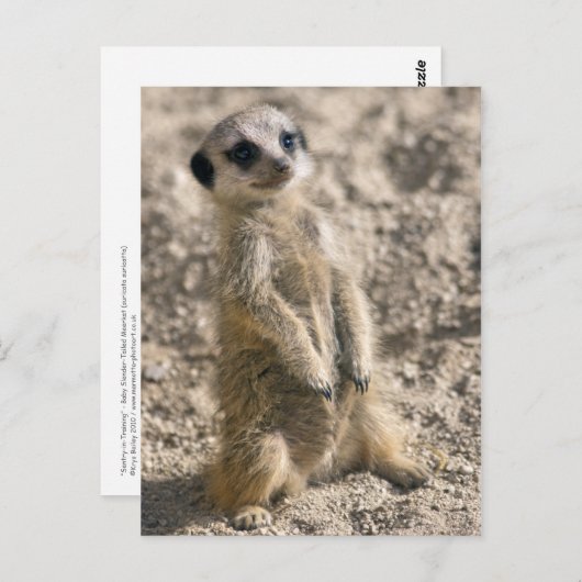 Briefkaart voor instaptraining (Voorkant / Achterkant)