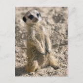 Briefkaart voor instaptraining (Voorkant)